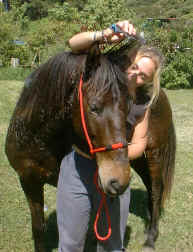 horse fur health care