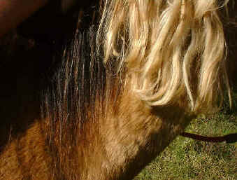 Costa Rica volunteer programm result 4