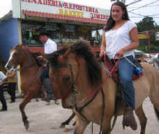 Voluntering at Sabine's Smiling Horses