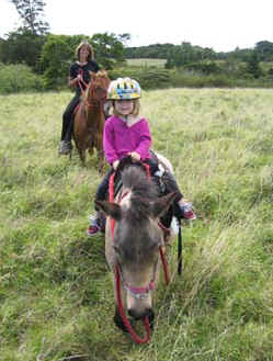 Sabine's smiling horses