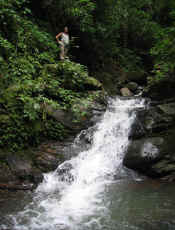 waterfall in Monteverde