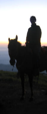 horse trekking adventure Costa Rica