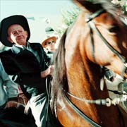 horse festival san jos�